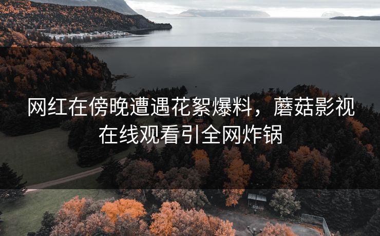 网红在傍晚遭遇花絮爆料，蘑菇影视在线观看引全网炸锅