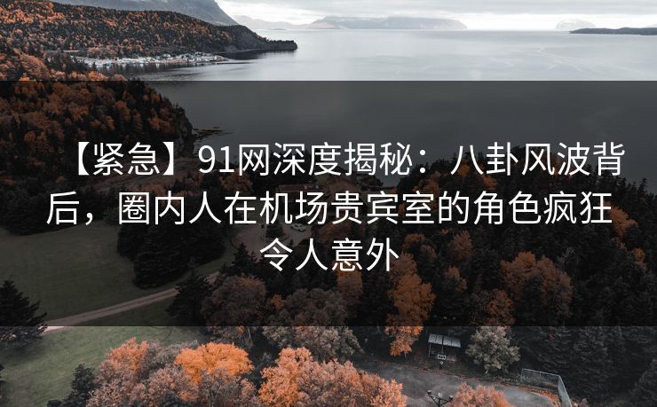 【紧急】91网深度揭秘：八卦风波背后，圈内人在机场贵宾室的角色疯狂令人意外