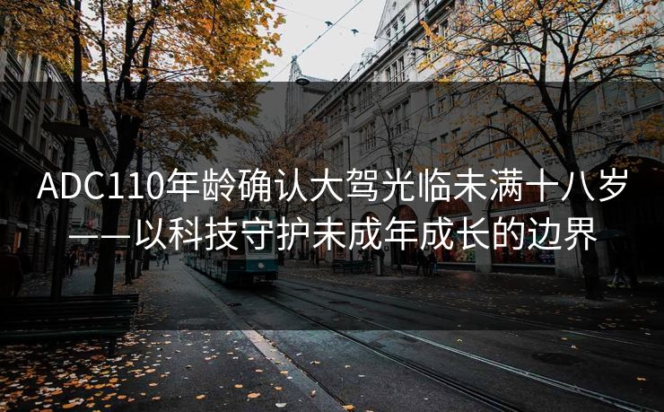 ADC110年龄确认大驾光临未满十八岁——以科技守护未成年成长的边界