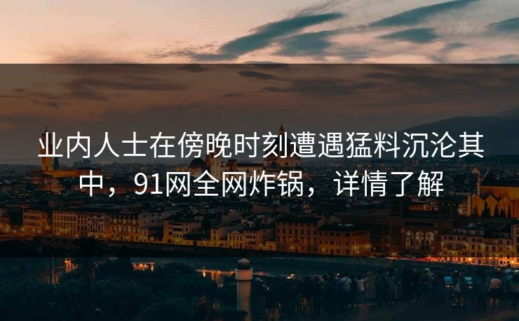 业内人士在傍晚时刻遭遇猛料沉沦其中,91网全网炸锅,详情了解
